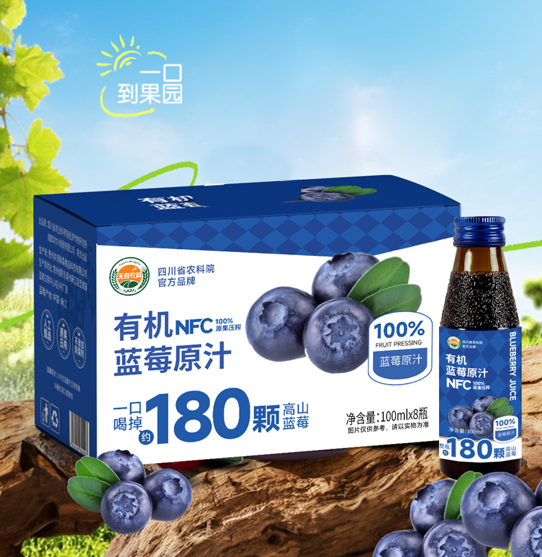 NFC有机蓝莓汁